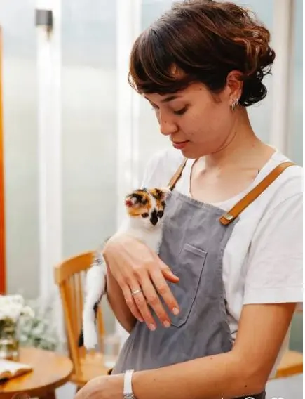A girl holding a cute calico kitty